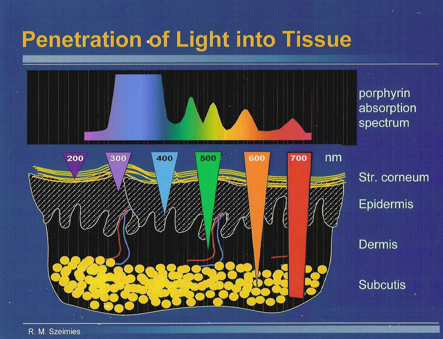 Penetrazione delle diverse lunghezze d'onda nella pelle